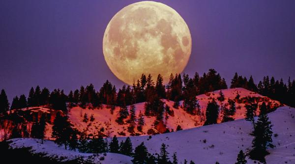 Lună plină în Rac, 7 ianuarie 2023. Ritualuri de Luna Lupului pentru a te umple de bani: Cum să atragi norocul și prosperitatea