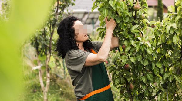 Probleme pentru Republica Moldova. Nu are unde să exporte fructele, după "divorțul" de Rusia 