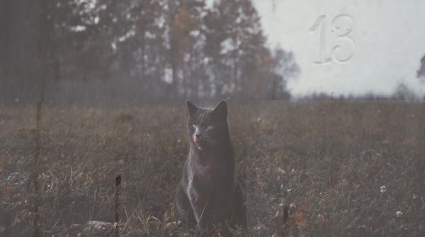 Superstițiile și istoria zilei de vineri 13: De ce se crede că este ghinionistă?