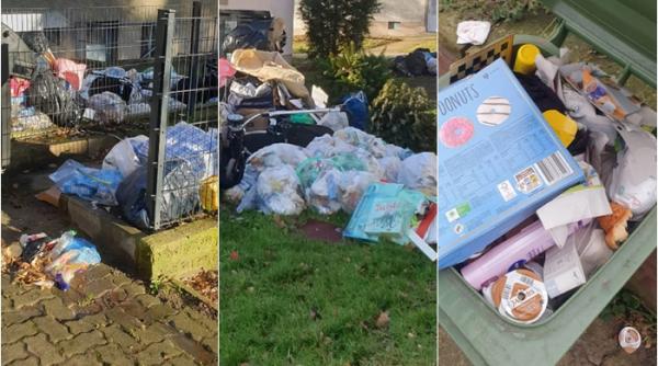 „Este destul!” Un localnic aruncă vina pe români pentru mizeria din orașul său, în Germania: „Până și câinele meu a fost dezgustat”