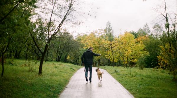 Un bărbat din New York s-a îmbogățit din plimbatul câinilor. Câștigă de trei ori mai mult pe an decât un profesor
