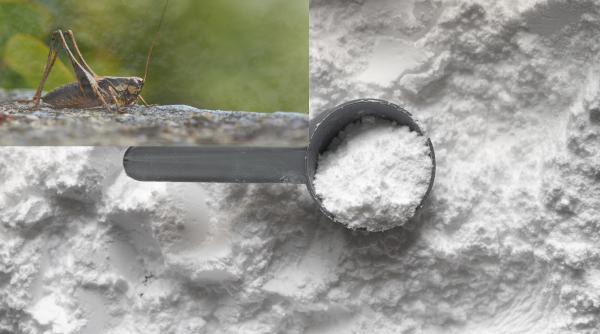 Făina de greieri a apărut în magazinele din România. Costă aproape 100 de lei kilogramul