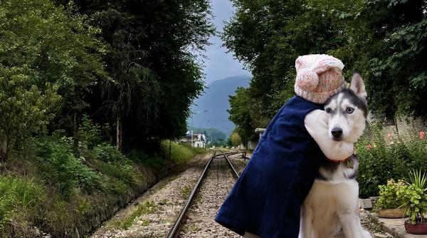 Italia. Fetiță româncă de cinci ani, salvată de câinele ei de pe calea ferată. Dispăruse de acasă și părinții o căutau disperați