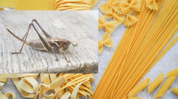 Primele paste din făină de greieri ajung în magazinele din Italia: Vor costa de 4 ori mai mult decât pastele tradiționale