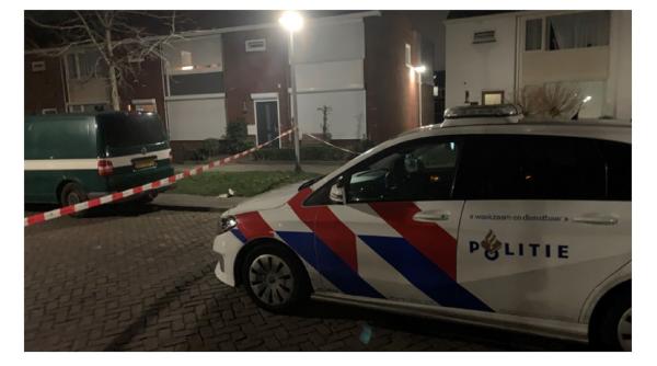 Olanda. Petrecerea unor români s-a terminat cu arestări: Trei victime