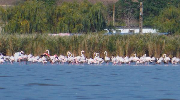 Ucraina a început dragarea canalului Bâstroe, care poate distruge Delta Dunării 