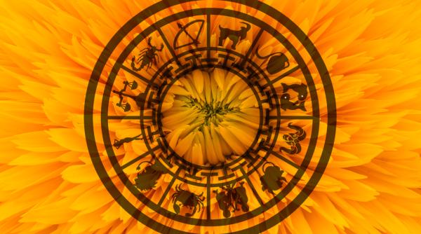 Horoscop 20 februarie 2023. Pești, ai parte de vise neobișnuite. Balanță, cineva încearcă să profite de tine. Previziuni complete