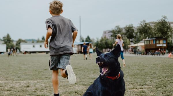 Un copil de zece ani, atacat de mai mulţi câini în Botoșani. Acesta a ajuns la spital cu răni grave