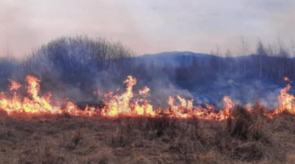 Amenzi usturătoare pentru românii care ard resturi vegetale în propria curte