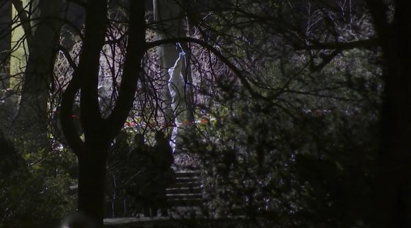 Fetiță de 5 ani, găsită fără viață într-un parc din Germania. Un tânăr de 19 ani a fost arestat: "Rănile sugerează o crimă“