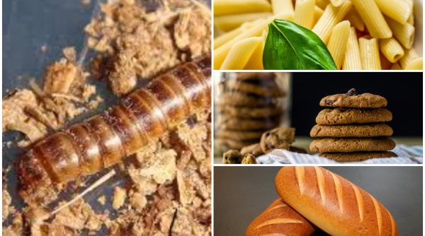 Larva gândacului de bălegar, a patra insectă aprobată ca aliment în UE. Se va pune în pâine, paste, prăjituri sau chipsuri