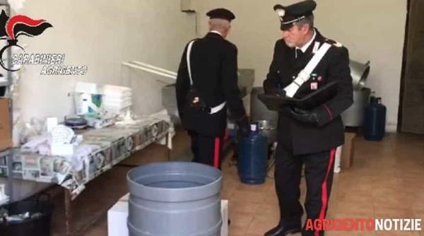 „Lăptăria groazei”, în Italia. Român, înrobit de doi patroni care au pus în pericol sănătatea a mii de cetățeni: Au pregătit brânzeturile printre șoareci morți și otravă