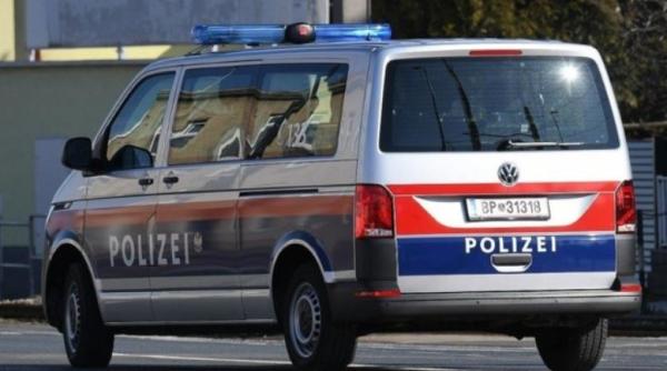 Austria. Un român a furat tablouri de 500.000 de euro. În calitate de muncitor casnic și grădinar, a avut acces nelimitat în spațiul privat al familiei