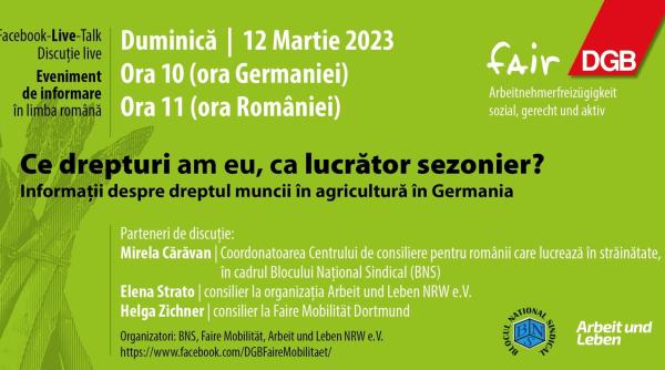 BNS, sesiune de informare pentru românii care vor să lucreze sau lucrează deja în Germania