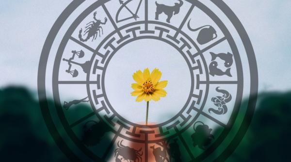 Horoscop 13 martie 2023. Momente dificile pentru Raci; oportunități fantastice și idei stimulatoare pentru Pești: Previziuni complete