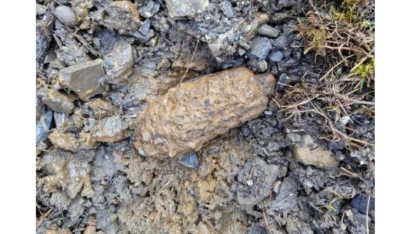 Grenadă de mână din Primul Război Mondial, găsită de un bărbat într-o localitate din Harghita