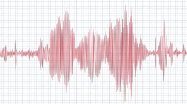 Cutremur în România, în această seară. Unde s-a produs seismul și ce magnitudine a avut