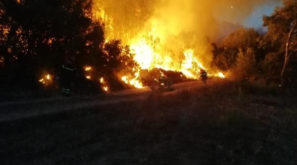 Incendiu în Spania: Oamenii evacuaţi din calea flăcărilor spun că au fost nevoiţi să-şi abandoneze animalele