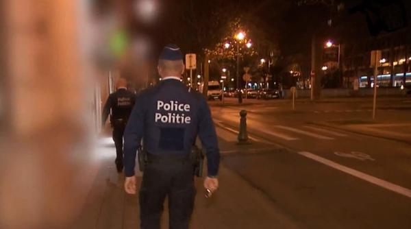 Patru români trași pe dreapta, în Belgia. Polițiștii, uimiți când i-au văzut cu patru oi și un miel pe bancheta din spate