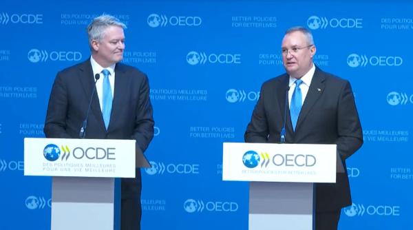 Șefa Comisiei de politică externă din Camera Deputaţilor cere sprijin parlamentarilor englezi şi belgieni pentru parcursul României spre OCDE