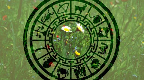 Horoscop 4 aprilie 2023. Leu, mărturisirea adevărului este cheia. Săgetător, urmează schimbări la locul de muncă. Previziuni complete