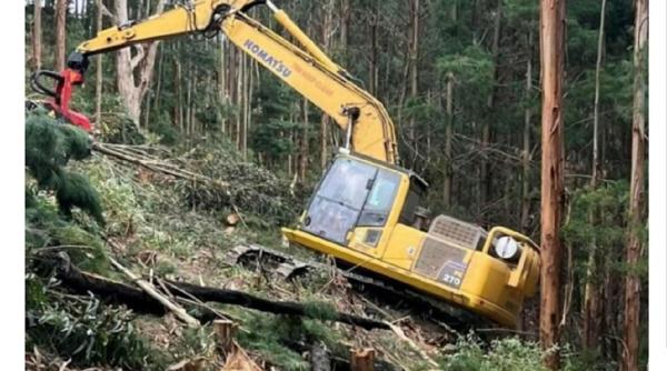 Detaliu înfricoșător într-o fotografie a unui muncitor la bordul unui excavator: După ce a dat zoom a văzut „fantoma unui băiețel” - FOTO