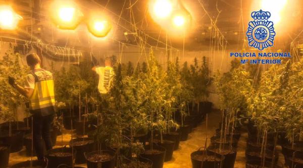 Spania. Trei români se ocupau de o adevărată „comoară”: Au fost reținuți de Poliția Națională