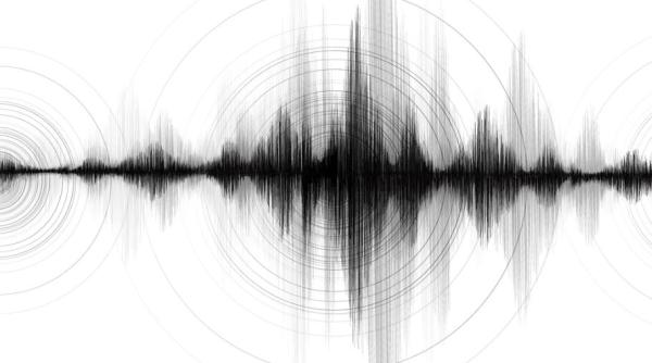 Două cutremure, azi-noapte, în România. Ce magnitudini au avut seismele