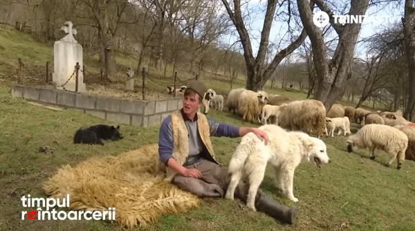 Ciobanul Ionuț Lazăr s-a întors din străinătate: "Eu atâția bani am strâns, m-am întors de dor". Mesaj pentru toți românii din Diaspora