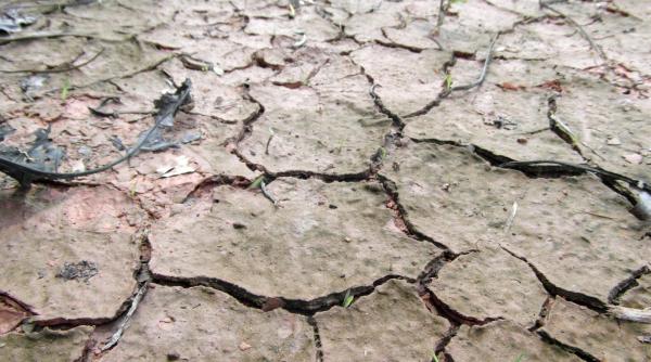 Spania se confruntă cu o secetă severă; restul Europei este sub avertizare de precipitaţii şi vreme rea