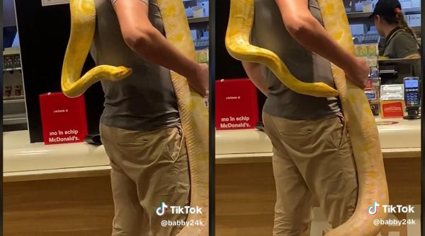 Apariție de infarct într-un McDonald's din România: un client a venit să comande mâncare "accesorizat" cu un șarpe la gât 