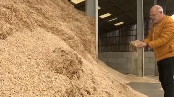 O comună din regiunea franceză Alsacia se încălzeşte cu ajutorul unei plante: „Crește peste tot“