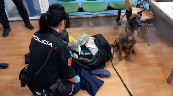 Spania. Un câine de poliție a detectat o geantă care conținea 429 de grame de marijuana într-un autobuz care se îndrepta spre România