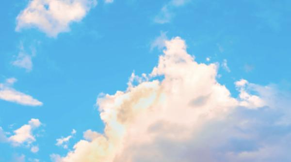 Bluesky, noua aplicație a fostul CEO al Twitter