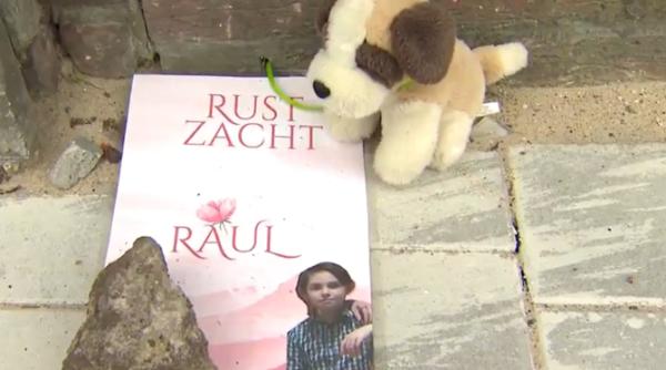 „Ce putem învăța din cazul micuțului Raul?”. Un cercetător din Belgia, despre moartea tragică a băiețelului român: „Spune ceva despre societate”