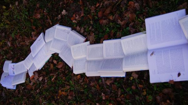 România va prezenta lucrarea "Rime împotriva războiului" la Festivalul „Noaptea Literaturii Europene” din Portugalia în iunie