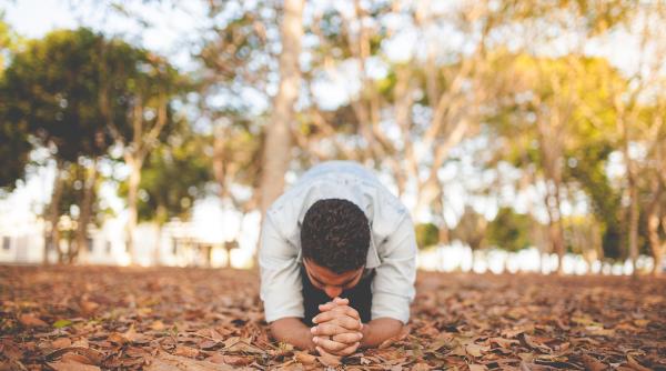 Muncitori români, exploatați de o importantă companie din Belgia: Lucrătorii au cerut de mâncare localnicilor pentru că le era prea foame