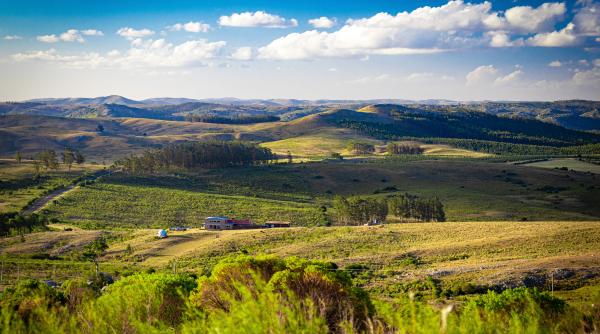 "Uruguay e ca România bunicilor noștri". Surpriză totală pentru o româncă mutată în America de Sud