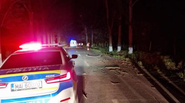 Familie de români, îngenunchiată de durere: Un tânăr a murit pe loc, după ce a intrat cu mașina într-un copac