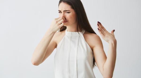 Mirosul de mucegai din apartament va dispărea pentru totdeauna: cele mai eficiente sfaturi