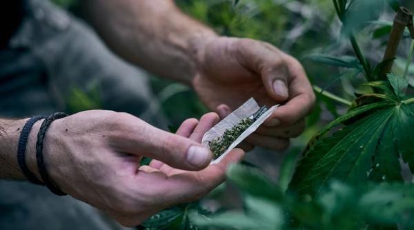 Peste 90 de kilograme de droguri, confiscate de poliţiştii români.  Cea mai mare captură este de cannabis