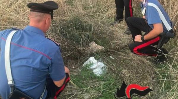 Italia. Părinții nou-născutului abandonat pe un câmp din Trapani, identificați după un an: mama e minoră, tatăl tocmai a devenit major