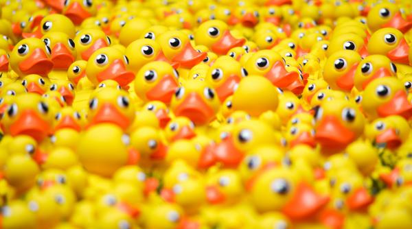 Cursa Rățuștelor 2023: Participă pentru Educație! O școală gimnazială din județul Timiș va fi renovată