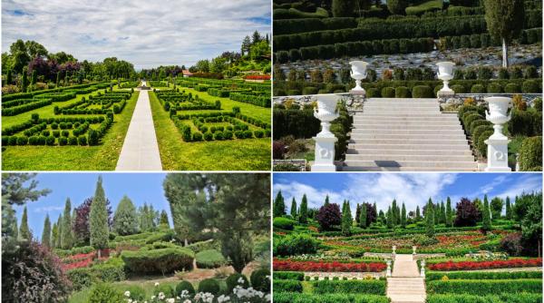 Un italian a creat un colț de Rai în România. Cum arată I Giardini di Zoe, una din principalele atracții din Hunedoara - FOTO