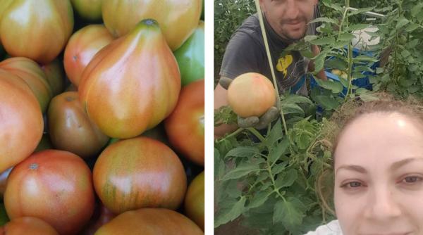 „Pe scurt, un adevărat muncitor“. Adrian și soția sa, doi muncitori români care le vând spaniolilor roșii cu gust de România