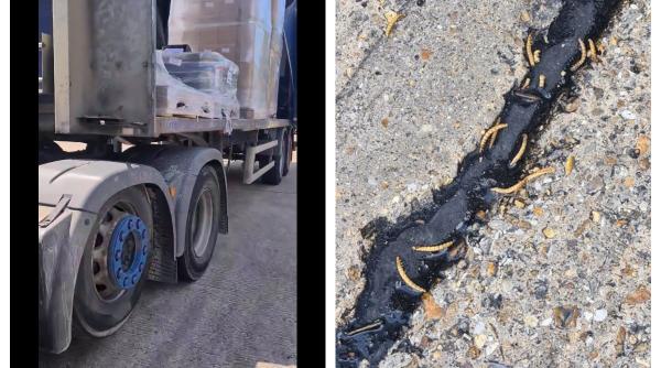 Un șofer român de TIR a aflat ce transportă după ce i-a fost spart un palet: "Sunt stupefiat. Așa ceva nu se poate!"