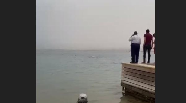 Turist, atacat și mâncat de un rechin în Hurghada. Stațiunea din Egipt e preferată de mulți români