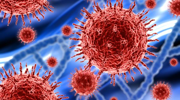 Un nou virus mortal se îndreaptă către Marea Britanie, conform ultimului avertisment privind schimbările climatice