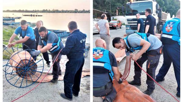 Poluare masivă a Dunării: 35 de tone de petrol au ajuns în apă și se îndreaptă spre România 