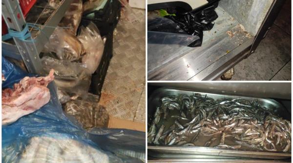 Inspectorii ANPC, fără cuvinte după un control la un restaurant din Costinești: mâncare expirată, gândaci, mizerie